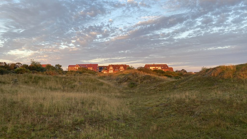 Grasbewachsene Dünen im Vordergrund und vom Sonnenuntergangslicht erleuchtete Ferienhäuser im Ostdorf von Baltrum